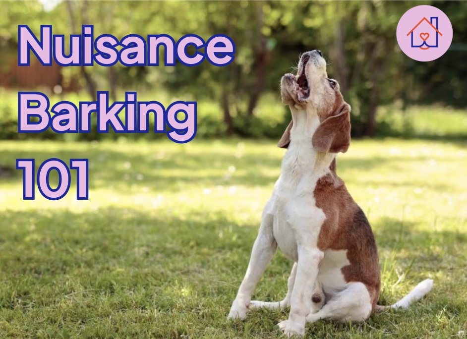 Nuisance Barking 101